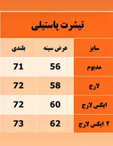 تیشرت بیسیک پاستیلی پارچه دورس