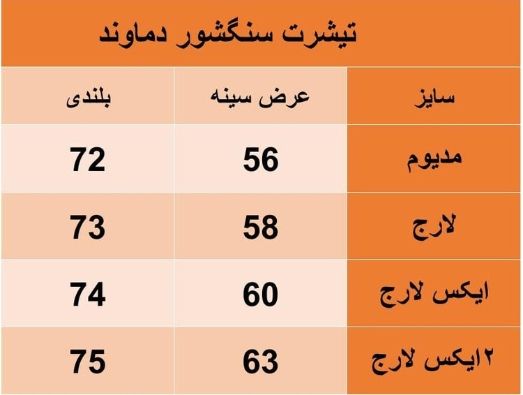 تیشرت مردانه دماوند پارچه سنگشور مشکی پارچه دورس